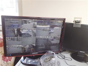 小區車內物品被盜，部分監控攝像頭成擺設